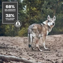 MOON Ranger Rind Mit Süßkartoffeln & Heidelbeeren -Pet Haus Verkauf 1b Konzept bei Nassfutter