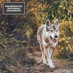 MOON Ranger Rind Mit Süßkartoffeln & Heidelbeeren -Pet Haus Verkauf 3 Ursprunglich Naturnah Artgerecht