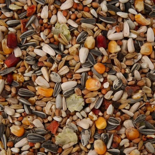 Vitakraft Menü Honig Für Papageien 4 Vitakraft Menü Honig Für Papageien – Bild 2