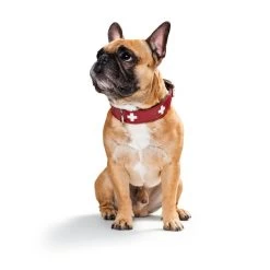 Hunter Halsband Swiss Nickel Rot/Schwarz -Pet Haus Verkauf 41744 hunter halsband swiss nickel rot schwarz 00