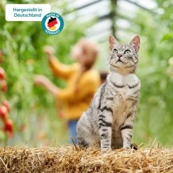 ZooRoyal Minkas Naturkost Kitten Huhn & Lachs Verfeinert Mit Cranberries & Lachsöl -Pet Haus Verkauf 5 hergestellt in deutschland5f9295ef4a97f