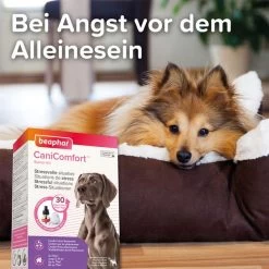 Beaphar CaniComfort® Wohlfühl-Spray 60ml -Pet Haus Verkauf CaniComfort Starter Kit25da5907546a68
