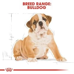 ROYAL CANIN Bulldog Puppy Welpenfutter Trocken -Pet Haus Verkauf RoyalCanin Hundefutter Breed Bulldog Puppy 7