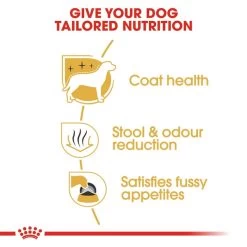 ROYAL CANIN Maltese Adult Hundefutter Trocken -Pet Haus Verkauf RoyalCanin Hundefutter Maltese 2