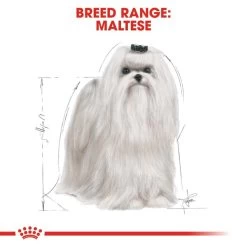 ROYAL CANIN Maltese Adult Hundefutter Trocken -Pet Haus Verkauf RoyalCanin Hundefutter Maltese 6