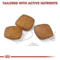 ROYAL CANIN RELAX CARE MAXI Trockenfutter Für Große Hunde In Unruhigem Umfeld 11 ROYAL CANIN RELAX CARE MAXI Trockenfutter Für Große Hunde In Unruhigem Umfeld -Pet Haus Verkauf RoyalCanin Hundefutter RelaxCare Maxi 4