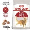 ROYAL CANIN FIT Trockenfutter Für Aktive Katzen -Pet Haus Verkauf RoyalCanin Katzenfutter Fit32 1