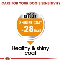 ROYAL CANIN COAT CARE MINI Trockenfutter Für Kleine Hunde Für Glänzendes Fell -Pet Haus Verkauf RoyalCanin Hundefutter CCN CoarCare Mini 3