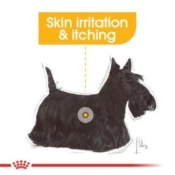 ROYAL CANIN DERMACOMFORT Nassfutter Für Hunde Mit Empfindlicher Haut 12x85g -Pet Haus Verkauf RoyalCanin Hundefutter CCN Dermacomfort Nassfutter 25f1ece8ed5b3c