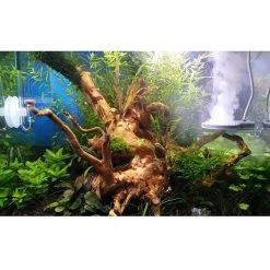 TWINSTAR 2 Aquarium-Sterilisator Nano -Pet Haus Verkauf ada aquarium sterilisator twinstar alle 4560e442ae7eab5a86dda358eef