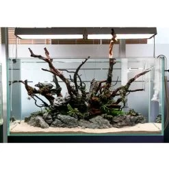 TWINSTAR 2 Aquarium-Sterilisator Nano -Pet Haus Verkauf ada aquarium sterilisator twinstar alle 5560e442cd86bc5a86dda4e00fe