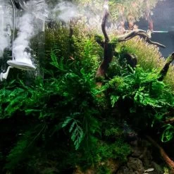 TWINSTAR 2 Aquarium-Sterilisator M5 -Pet Haus Verkauf ada aquarium sterilisator twinstar alle 6560e438a07d595a86dc657ae96