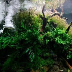 TWINSTAR 2 Aquarium-Sterilisator Nano -Pet Haus Verkauf ada aquarium sterilisator twinstar alle 6560e442f142955a86dda6748f7