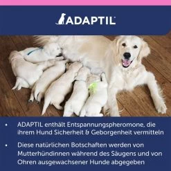 Adaptil Junior Halsband 22 Adaptil Junior Halsband -Pet Haus Verkauf adaptil junior halsband 10