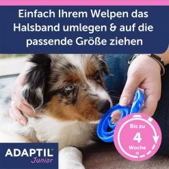 Adaptil Junior Halsband 16 Adaptil Junior Halsband -Pet Haus Verkauf adaptil junior halsband 4