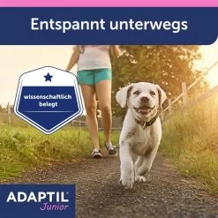 Adaptil Junior Halsband 19 Adaptil Junior Halsband -Pet Haus Verkauf adaptil junior halsband 7