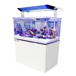 Aqua Medic Armatus XS -Pet Haus Verkauf aqua medic micro aquarium armatus xs web 2
