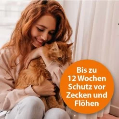 ARDAP Spot-On Für Katzen -Pet Haus Verkauf ardab spot on fur katzen 3