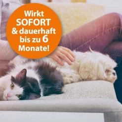 ARDAP Langzeit Ungezieferbekämpfungs-Set 16 ARDAP Langzeit Ungezieferbekämpfungs-Set -Pet Haus Verkauf ardap fogger ungeziefervernebler 200ml 6zUSNl54Iy8T8j