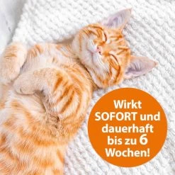 ARDAP Langzeit Ungezieferbekämpfungs-Set 12 ARDAP Langzeit Ungezieferbekämpfungs-Set -Pet Haus Verkauf ardap langzeit flohspray fur die umgebung 400ml 3IYTGGO8GUPmI0