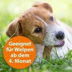 ARDAP Spot-On Für Hunde -Pet Haus Verkauf ardap spot on fur hunde 3