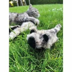 Aumüller Katzenspielkissen Zappel - Frettchen Speedy -Pet Haus Verkauf aumueller katzen spielzeug zappel frettchen freddy web 14