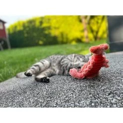 Aumüller Lucky Lobster Orange -Pet Haus Verkauf aumueller lucky lobster orange web 8