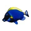 Aumüller Katzenspielkissen Zappel-Doktorfisch -Pet Haus Verkauf aumueller zappelfisch doktorfisch 1