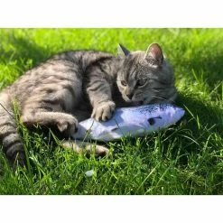 Aumüller Katzenspielkissen Zappel-Forelle -Pet Haus Verkauf aumueller zappelfisch forelle 2