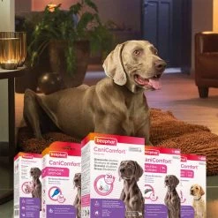 Beaphar CaniComfort® Starter-Kit Für Hunde -Pet Haus Verkauf beaphar canicomfort starter kit fur hunde 4