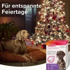 Beaphar CaniComfort® Starter-Kit Für Hunde -Pet Haus Verkauf beaphar canicomfort starter kit fur hunde 6