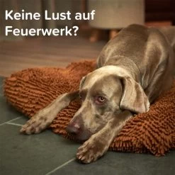 Beaphar CaniComfort® Wohlfühl-Spray Für Hunde 30ml -Pet Haus Verkauf beaphar canicomfort wohlfuhl spray fur hunde 30ml 11