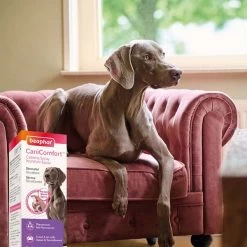 Beaphar CaniComfort® Wohlfühl-Spray Für Hunde 30ml -Pet Haus Verkauf beaphar canicomfort wohlfuhl spray fur hunde 30ml 5