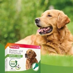 Beaphar Spot On Tropfen Für Große Hunde + Zeckenstift Gratis -Pet Haus Verkauf beaphar spot on tropfen fur grosse hunde 5idvtto8Ld0q5M