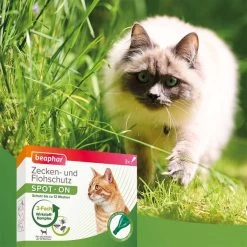 Beaphar Zecken- & Flohschutz SPOT-ON Für Katzen 3er-Pack -Pet Haus Verkauf beaphar zecken und flohschutz spot on fur katzen 5shOUGvMIXVWZU