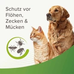 Beaphar Zecken- Und Flohschutz Spray 3x400ml -Pet Haus Verkauf beaphar zecken und flohschutz spray 400ml 58rxJDiqQ9Msrw