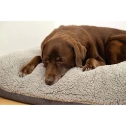 Beeztees Orthopädisches Memory Foam Lounge Hundekissen Ruba 100 X 70 Cm 7 Beeztees Orthopädisches Memory Foam Lounge Hundekissen Ruba 100 X 70 Cm -Pet Haus Verkauf beeztees orthopadisches memory foam lounge hundekissen ruba 3