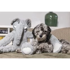 Beeztees XL Hundespielzeug Plüsch Elefant James Grau -Pet Haus Verkauf beeztees xl hundespielzeug plusch elefant james grau 3