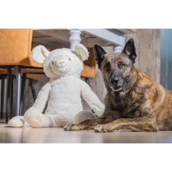 Beeztees XL Hundespielzeug Plüsch Schaf Jessy Weiß -Pet Haus Verkauf beeztees xl hundespielzeug plusch schaf jessy weiss 3