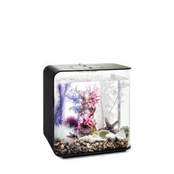 BiOrb Decor Set 30L -Pet Haus Verkauf biorb deco pinkocean 30 3