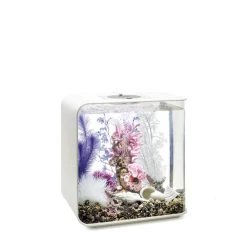 BiOrb Decor Set 30L -Pet Haus Verkauf biorb deco pinkocean 30 4