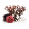 BiOrb Decor Set 15L -Pet Haus Verkauf biorb deco redforrest 15 1