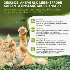 Bogaprotect Spot-On Katze 12 Bogaprotect Spot-On Katze -Pet Haus Verkauf bogaprotect spot on katze s 5r363BjL8SXue3