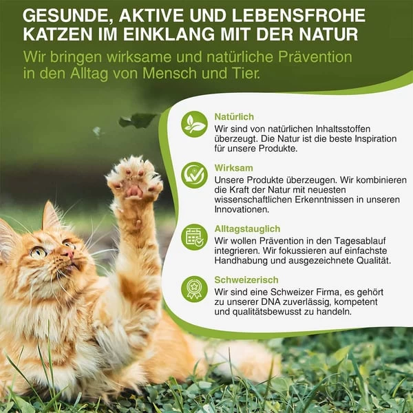 Bogaprotect Spot-On Katze 7 Bogaprotect Spot-On Katze – Bild 5