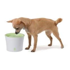 Catit Trinkbrunnen Für Katzen Und Kleine Hunde 3l -Pet Haus Verkauf catit trinkbrunnen fuer katzen und kleine hunde 3l 3