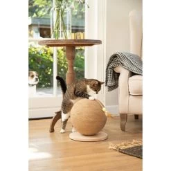 Designed By Lotte Kratzball Balty -Pet Haus Verkauf designed by lotte kratzball balty 3