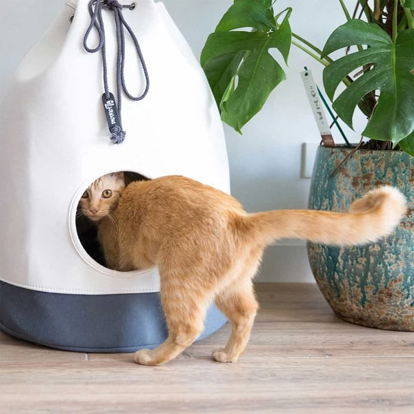 District 70 Katzenhöhle Casa 7 District 70 Katzenhöhle Casa – Bild 5