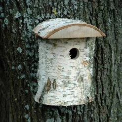 Dobar Naturbelassener Nistkasten Aus Birkenholz -Pet Haus Verkauf dobar wildlife nistkasten birke 3