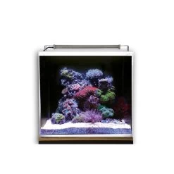 Dupla Marin Meerwasseraquarium Ocean Cube 50 Set -Pet Haus Verkauf dupla marin meerwasseraquarium ocean cube 50 set 5tE4lemMMniTDO
