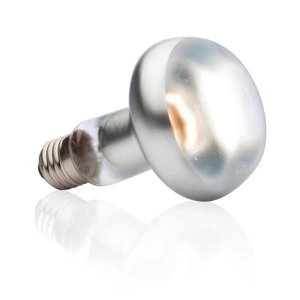 Exo Terra Intense Basking Spot 4+1 Gratis 100 Watt 4 Exo Terra Intense Basking Spot 4+1 Gratis 100 Watt – Bild 2